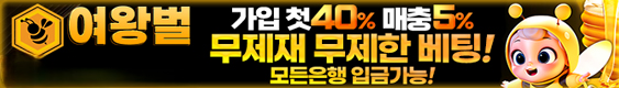 토토 주소 여왕벌